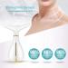 Ms.W 3-in-1 Beauty Massager for Face and Neck with Heat, Vibration and LED - Electric Facial Tool for Skin Firming and Smoothing - Buy Online on SooperMarket.com
