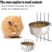 PINVNBY Stainless Steel Parrot Feeding Cups - Pack of 2 | Bird Food Dish with Clamp Holder for Cockatiel Conure Budgies Parakeet Macaw Chinchilla - Buy Online on SooperMarket.com