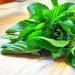 Spearmint Moroccan mint leaves 50g all natural Mentha spicata var. cripsa Dried loose Leaves. - Buy Online on SooperMarket.com