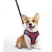 Ankilo Upgraded Harness with Leash Set Escape Proof Dog Vest Harnesses Vest Harnesses with Soft Mesh and Reflective Bands No Pull Small Dog Harness for Cats and Small Dogs (Rose-red S) - Buy Online on SooperMarket.com