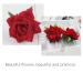 4PCS Small Red Rose Flower Hair Clips - Bridal Hair Pins for Women and Girls - Buy Online on SooperMarket.com