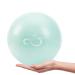 Live Infinitely 9 Inch Barre Pilates Ball & Hand Pump Anti Burst Mini Ball & Digital Workout eBook Included for Yoga, Exercise, Balance & Stability Training  Comes with Mesh Carrying Bag Mint 9 Inch