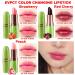 EVPCT 3Pcs Fruit Tinted Lip Balm Set - Long Lasting Color Changing Lipstick Stain for Women & Girls - Korean Mood Queen Lip Tint Gloss - 3 Count Pack - Buy Online on SooperMarket.com