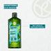 Yves Rocher Pure Detox Organic Algae Shampoo - Sulfate Free for Normal & Oily Hair | 300 ml - Buy Online on SooperMarket.com