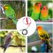 Buy Portable 8-Shape Bird Dishes for Small to Medium Parrots | Adjustable Parrot Flight Dishes | Perfect for Lovebirds & Nymphensittich - International Shipping Available - Buy Online on SooperMarket.com