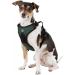 Littlearth NFL New York Jets Front Clip Pet Harness - Team Color, Medium - Buy Online on SooperMarket.com