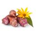 Buy Fresh Jerusalem Artichoke Tubers - 1000g | Premium Quality International Shipping - Buy Online on SooperMarket.com