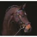 Horseware Rambo Micklem Multibridle 3 in 1 bridle size and color selectable (black WB)