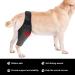 Pet Dog Injury Knee Brace Leg Inflammation Pain Alleviate Leg Support Sheaths for Dogs Outdoor Walking Accessories - Buy Online on SooperMarket.com