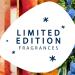 Glade Holiday Scented Candle Glistening Snow Air Freshener Infused with Essential Oils 3-Wick Candle 1 Count - Buy Online on SooperMarket.com