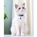 Tagme Cat Neck Band - 2 Pack Customizable Cat Necklace with Safety Clasp & Bell | Adjustable 18-31 cm Navy Blue - Buy Online on SooperMarket.com