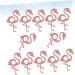 PRETYZOOM Candy Packaging 48 Pcs Lollipop Paper Package Lollipop Decorations Lollipop Decorate Cards Lollipop Stand Lollipop Holder Lollipop Craft Amazoncards Glitter Powder Hawaii Pink - Buy Online on SooperMarket.com
