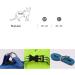 Buy Cat Dishes & Harness Set | Outdoor Leash & Bowls for Cats & Dogs - International Shipping - Buy Online on SooperMarket.com