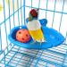 Hanging Bird Bath Tub for Parrot Cage - Shower Box, Feeder & Water Tray Accessories - Buy Online on SooperMarket.com