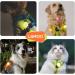 Laroo LED Flashing Safety Lights for Dogs & Cats - Rechargeable Turn Signal for Walks & Outdoor Sports (Green) - Buy Online on SooperMarket.com