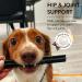 Shameless Pets Banana Bone-Anza Dental Stick Dog Treat 204 g Banana/Bone Broth/Mint - 204 g Dental Stick - Buy Online on SooperMarket.com
