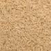 Wholefood Earth Organic Jasmine Brown Rice 3kg - GMO Free, Vegan, Fibre-Rich | Certified Organic - Buy Online on SooperMarket.com