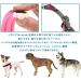 Buy Ferplast Agila Fluo 3 Ergonomic Dog Harness - Perfect Fit Soft Upholstery 37-57 cm Pink | International Shipping Available - Buy Online on SooperMarket.com