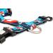 Max & Molly H-Harness - Frenzy The Shark | Best Pet Harness for International Shipping - Buy Online on SooperMarket.com