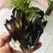 400-500g Hot Quartz Cluster Natural Cairngorm s Flowers Smoky Quartz ClusterCan be Used for HOMEZHOU