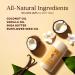 Deodorant For Both Women and Men - 2.65 Fl Oz - 100% Pure Natural Aluminum Free Alcohol & Paraben Free Long Lasting Whole Body Coconut Vanilla 2.65 Fl Oz (Pack of 1) - Buy Online on SooperMarket.com