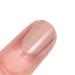 Orly Nail Polish Plot Twist - Shaky Alibi | Fall Color Collection | International Shipping Available - Buy Online on SooperMarket.com