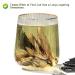 Buy Chinese Needle Ku Ding Tea - 100G Bitter Green Tea | Premium Loose Leaf for Health - Buy Online on SooperMarket.com