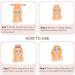 KEYRI 2PCS Heatless Hair Curler Heatless Curling Set Heatless Curlers Headband with Hairnet No Heat Hair Curlers for Long/Medium Hair Sleeping Overnight Lazy Curlers DIY Hair Styling Tools (Champagne) - Buy Online on SooperMarket.com