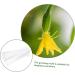 SUPVOX Horticulture 3pcs Vegetable Shaping Pots for Plants Garden Vegetable Growth Forming Fruit Pizza - Buy Online on SooperMarket.com