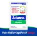 Salonpas 12 Hour Pain Relief Patch (Pack of 1) + Salonpas Pain Relieving Patch - Large (4 count) - Buy Online on SooperMarket.com