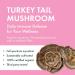 Host Defense Turkey Tail Mushroom Capsules Immune Support Mushroom Supplement Source of Fungal Polysaccharides Certified Organic Vegetarian Capsules 1000 mg Potency Turkey Tail Mushroom Capsules 60 count (Pack of 1) - Buy Online on SooperMarket.com