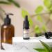 ORGANIC - PRICKLY PEAR SEED Oil - 10mL - 100% Pure Natural Cold Pressed And Cosmos Certified - AROMA LABS (French Brand) - Buy Online on SooperMarket.com