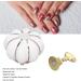 Nail Tip Stand Ceramic Pumpkin Shaped Nail Display Stand Nail Practice Stand for Home DIY and Salon Magnetic Nail Tip Holder Stand Set for Nail Beauty Salon(white) - Buy Online on SooperMarket.com