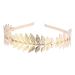 Luoem Tiara for Bride Crown Hair Band Headband Goddess (Gold)
