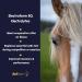 Aviform ELECTROFORM EQ | Equine Electrolytes | 1kg Compostable Pouch | Fast Delivery - Buy Online on SooperMarket.com