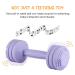 Silicone Baby Dumbbell Teether Toy - Weight Rattle Sensory Toy for Boys and Girls - Perfect Gift for Toddlers - Buy Online on SooperMarket.com