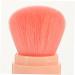 5-in-1 Makeup Brush Set | Highlighter Concealer Blush Foundation & Powder Brush for Flawless Face Makeup | International Shipping Available - Buy Online on SooperMarket.com