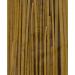 Plentiful Pantry Roasted Garlic Parsley Linguini Pasta 12oz - Handmade, Cooks in 2-3 Minutes - Buy Online on SooperMarket.com