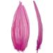 50pcs 13-16 Inches Long Rooster Coque Tail Feathers for Hat Costume Decoration Crafts (Pink)