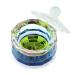 Rainbow Dodecagon Acrylic Nail Art Dappen Dish with Cap Lid - NAPB019 - Buy Online on SooperMarket.com