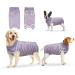 oUUoNNo Recovery Suits for Dogs Cats Surgical Recovery Suit for Female Male Abdominal Wounds Spay or Skin Diseases Cone E-Collars Alternatives Anti-Licking Pet Vest Post Surgery (XXXL Purple stripe) XXXL Purple stripe
