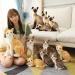 Hpory Cat Soft Toy Simulation Cat Plushie Cute Plush Cat Doll Realistic Cat Soft Plush Faux Plush Kitten Toy Pet Animal Photography Prop Room Home Decoration Companion Pets Toy Gift for Kids Orange Cat - 30cm - Buy Online on SooperMarket.com