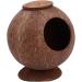 FOMIYES 2pcs Coconut Shell Charcoal Hamster Nest Small The Bed 16X15X15CMx2pcs Brownx2pcs - Buy Online on SooperMarket.com