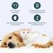 PURAPEP Comfort | Natural Sedative for Dogs & Cats | Tryptophan & B Vitamins | 100g Powder for Stress & Fear Relief - Buy Online on SooperMarket.com