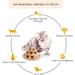 Gelrova Cat Toy Roller Exerciser Fun Cat Toy Indoor Pet Interactive Toy Bamboo Cat Ball Toy with Double Layer Rail Teaser Cat Ball Toy for Kitten Puppy etc 3-layer track(Bamboo) 3-layer-bamboo - Buy Online on SooperMarket.com