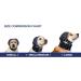 MPS Medical Pet Shirt Head Cover for Dogs Large - Buy Online on SooperMarket.com