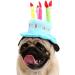 Cute Birthday Cake Hat for Pets with 5 Color Candles - Blue - Buy Online on SooperMarket.com