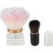 Powder Blush Brushes Set Makeup Brush Set Multipurpose with Storage Bag for Salon - Buy Online on SooperMarket.com