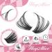Buy Wispy Lash Clusters | 30D & 40D Individual Eyelash Extensions - 320 Pcs D Curl 9-16mm by HeyAlice - Buy Online on SooperMarket.com