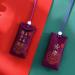 Spiritual Salt with Sachet Fragrant Bag Empty Bag Carrying Pouch Bag Hanging Blessings Pendant Good Wishes Style Chinese Peace Size - Buy Online on SooperMarket.com